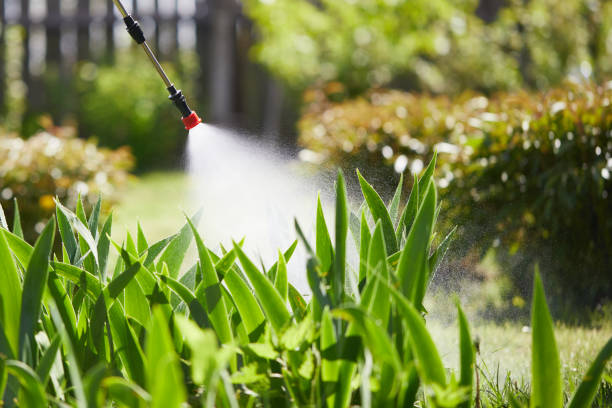 Tamper-Resistant Bait Stations for Rodents in Pond Creek
