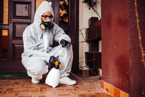 Attic and Crawl Space Rodent Treatment in Pond Creek