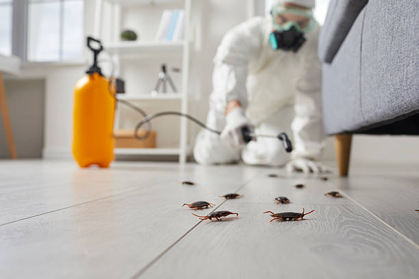 Commercial Rodent Management in Pond Creek
